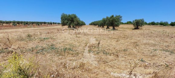 9250m² Land in Beja, Portugal No. 62724 3