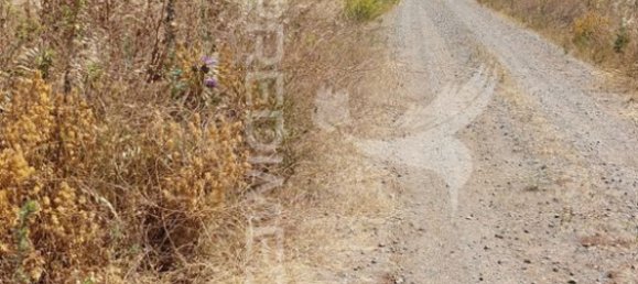 9250m² Land in Beja, Portugal No. 62724 13