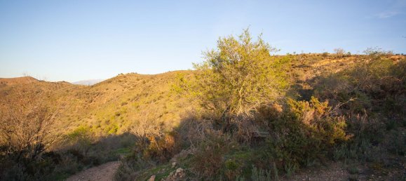 Grundstück in Moclinejo, Spain 30000m², Nr. 51287 5