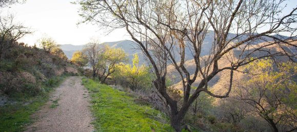 Grundstück in Moclinejo, Spain 30000m², Nr. 51287 4