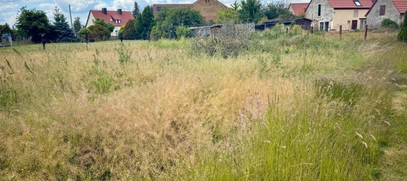 Дом с 3 спальнями в Wittenberg, Германия № 273415 3