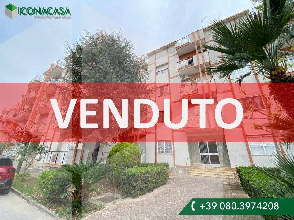 3 rooms Apartment in Molfetta, Italy No. 28490