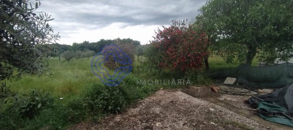 3 غرف نوم منزل في Torres Novas, Portugal رقم 14501 17