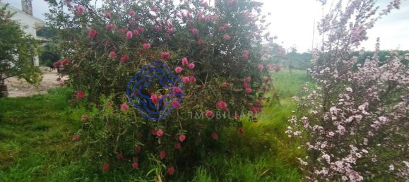 3 غرف نوم منزل في Torres Novas, Portugal رقم 14501 31