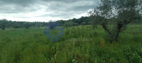 3 غرف نوم منزل في Torres Novas, Portugal رقم 14501 33