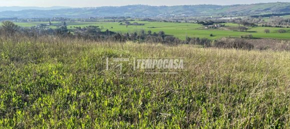 44000m² Land in Corridonia, Italy No. 348313 15