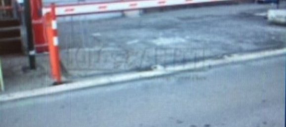  عقار تجاري في Pescara, Italy 50متر مربع رقم 312114 9