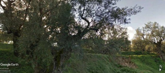  Land in Zakynthos, Greece No. 587 11