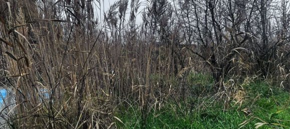 Grundstück in Alfajarin, Spain 711m², Nr. 87907 8