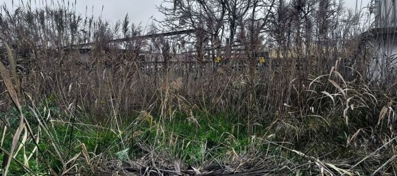 Grundstück in Alfajarin, Spain 711m², Nr. 87907 7