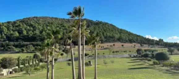 4 bedrooms House in Algaida, Spain No. 186826 23