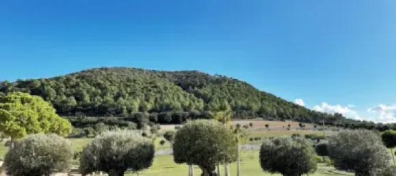 4 bedrooms House in Algaida, Spain No. 186826 18