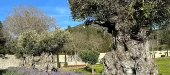 4 bedrooms House in Algaida, Spain No. 186826 21