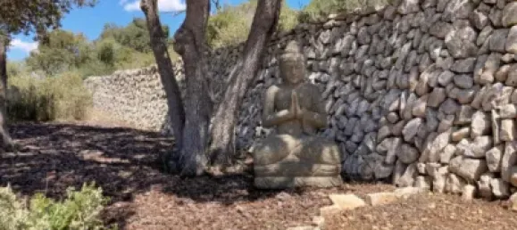 4 bedrooms House in Algaida, Spain No. 186826 4