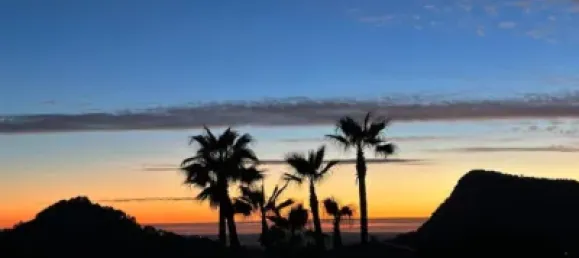 4 bedrooms House in Algaida, Spain No. 186826 6