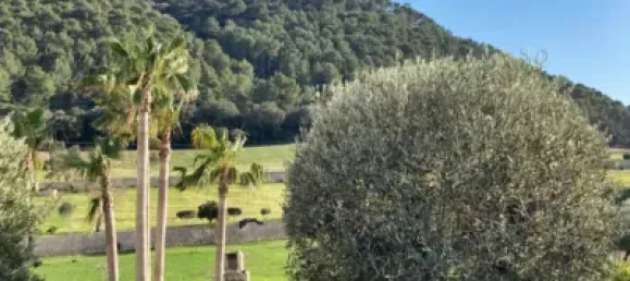 4 bedrooms House in Algaida, Spain No. 186826 19