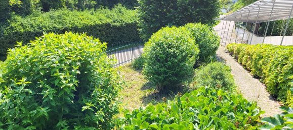 Дом с 9 комнатами в Пухенстубен, Австрия № 213715 18