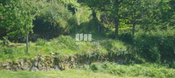 1380m² Land in Sao Cristovao de Nogueira, Portugal No. 58241 9