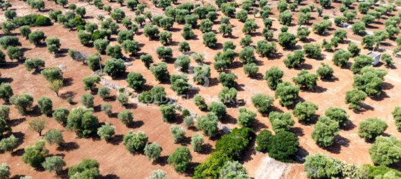 11000m² Land in Ostuni, Italy No. 343531 2