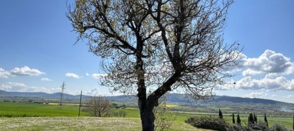 14 rooms Villa in Castiglione del Lago, Italy No. 78077 6