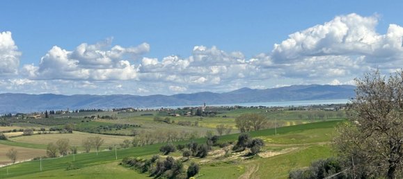 14 rooms Villa in Castiglione del Lago, Italy No. 78077 9