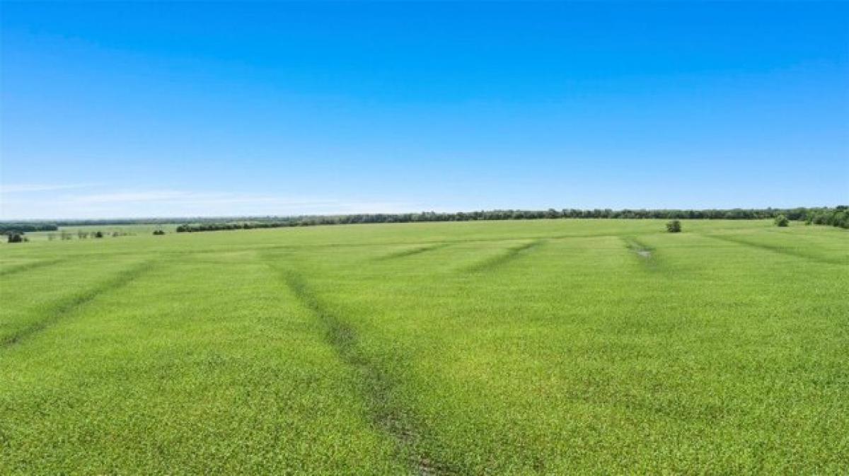 Земельный участок в Гринвилл, США № 474071