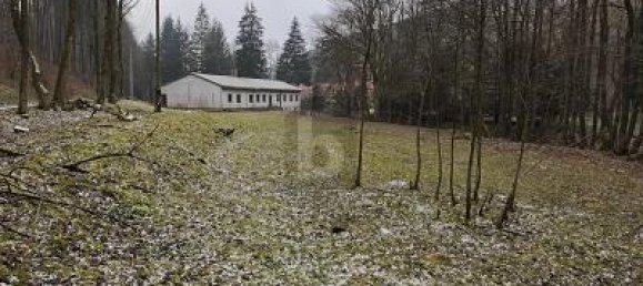 10غرفة مستودع في Schmalkalden-Meiningen, Germany رقم 221398 3