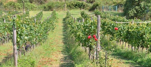 4 bedrooms House in Gaiole in Chianti, Italy No. 158852 23