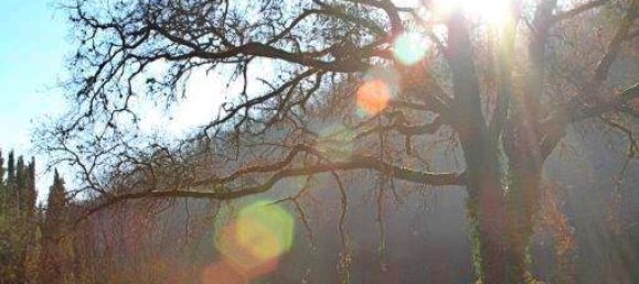 4 bedrooms House in Gaiole in Chianti, Italy No. 158852 30