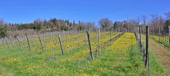 4 bedrooms House in Gaiole in Chianti, Italy No. 158852 8