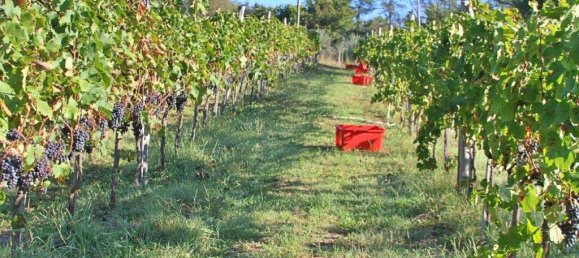 4 bedrooms House in Gaiole in Chianti, Italy No. 158852 26