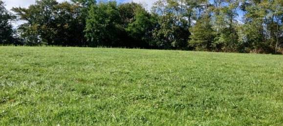  قطعة أرض في Vendat, France رقم 343727 3