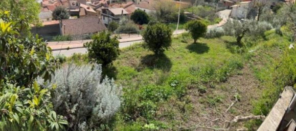 5 Schlafzimmer Wohnung in Bono, Italy, Nr. 376889 12