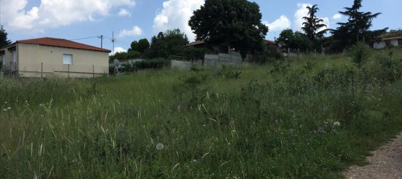 2750m² Hotel in Chortiatis, Greece No. 5675 4