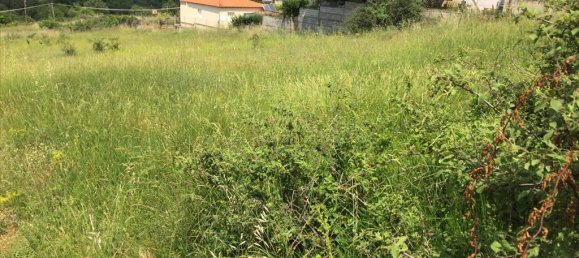 2750m² Hotel in Chortiatis, Greece No. 5675 3