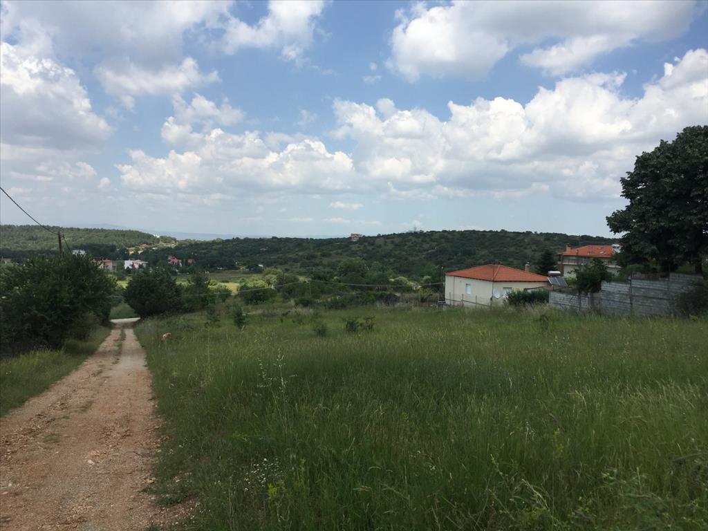 2750m² Hotel in Chortiatis, Greece No. 5675