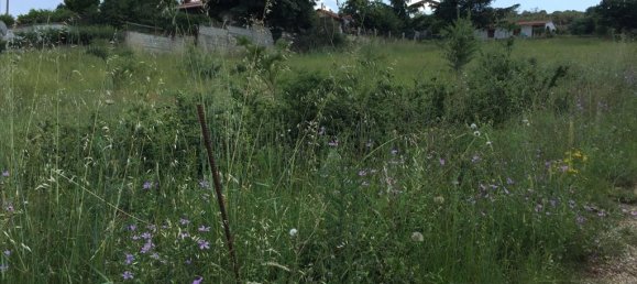 2750m² Hotel in Chortiatis, Greece No. 5675 5