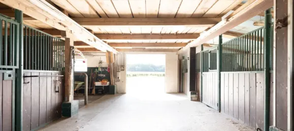 8 bedrooms Farm in Wesel, Germany No. 331175 26