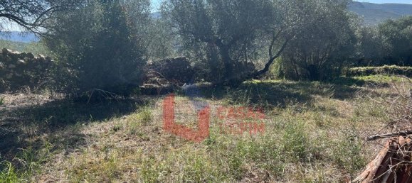 3 bedrooms House in Porto de Mos, Portugal No. 205612 13