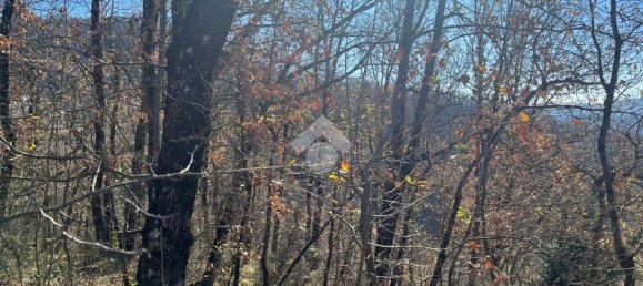 3078m² Land in Subiaco, Italy No. 346201 8