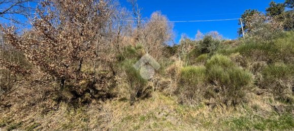 3078m² Land in Subiaco, Italy No. 346201 14