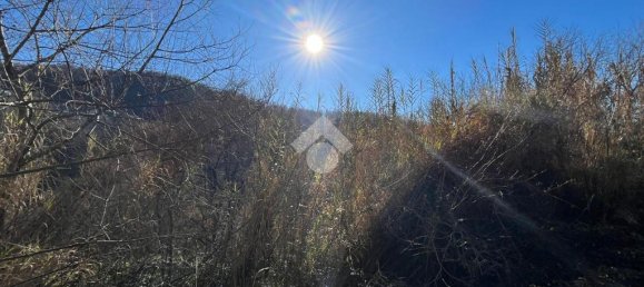 3078m² Land in Subiaco, Italy No. 346201 2