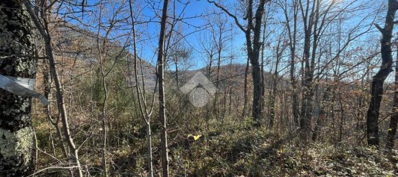 3078m² Land in Subiaco, Italy No. 346201 5