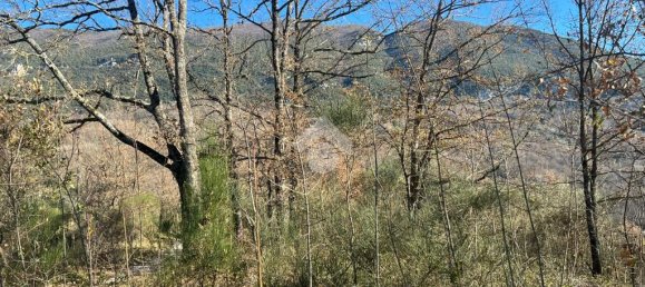 3078m² Land in Subiaco, Italy No. 346201 11