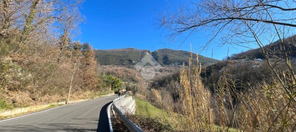 3078m² Land in Subiaco, Italy No. 346201 13