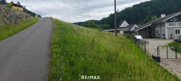 1156m² Land in Sudoststeiermark, Austria No. 203962 3