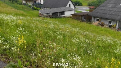 1156m² Land in Sudoststeiermark, Austria No. 203962