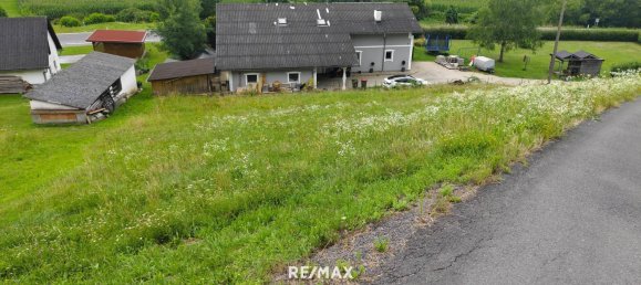 1156m² Land in Sudoststeiermark, Austria No. 203962 4