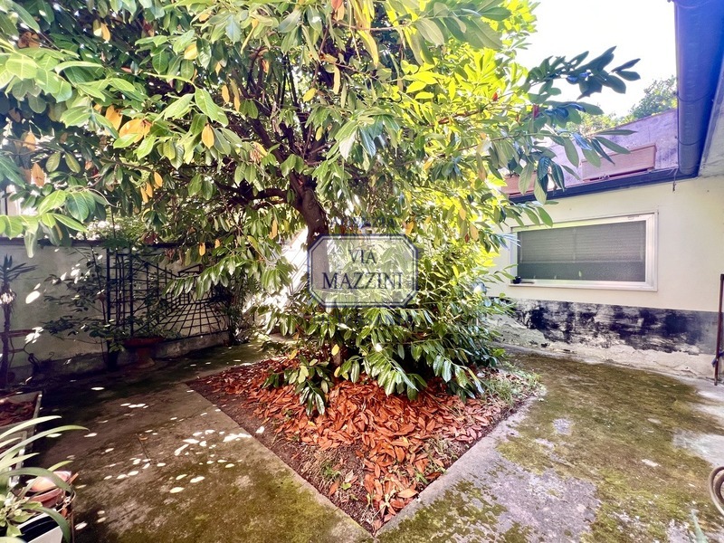 3 غرف نوم منزل في Pietrasanta, Italy رقم 303509