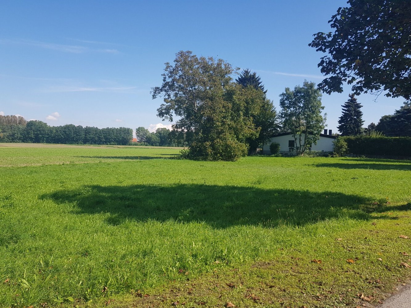  قطعة أرض في Grafenworth, Austria رقم 213049